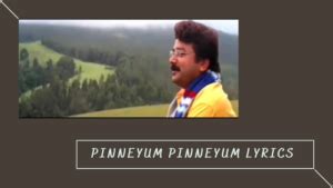 Pinneyum Pinneyum Aro Kinavinte Lyrics .